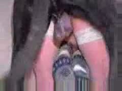 Big black dog cock wrecking a sexy girl's holes